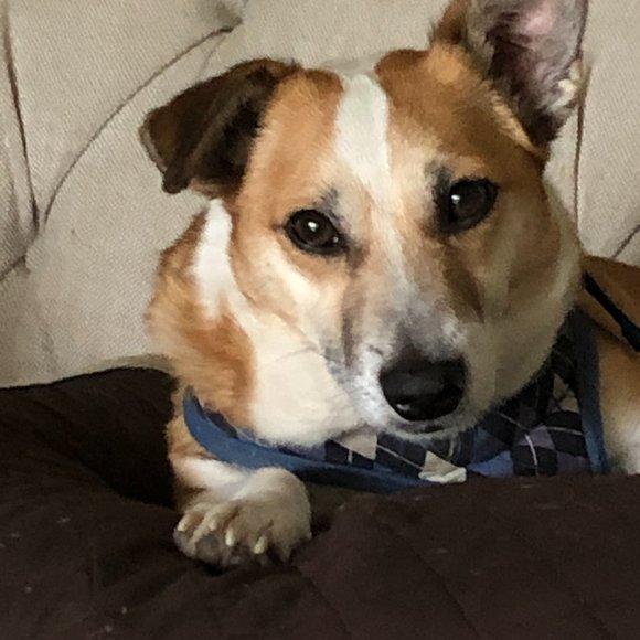 Meet your Posher, Lorie - Picture 11 of 12